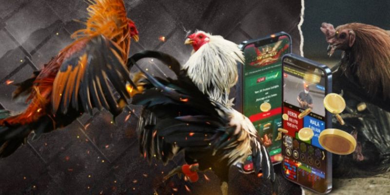 Điểm nổi bật của đá gà 78Win